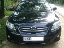 TOYOTA Corolla141